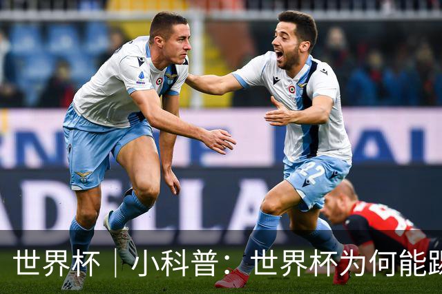 世界杯｜小科普：世界杯为何能踢出那么大的分差？
